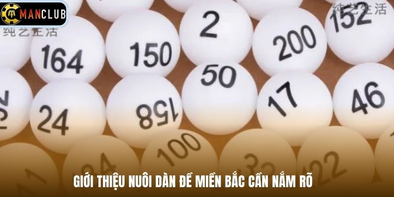 Giới thiệu nuôi dàn đề miền Bắc cần nắm rõ