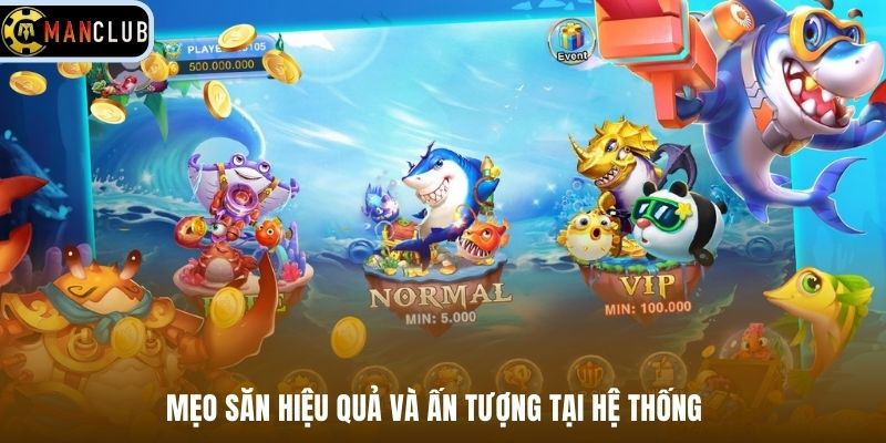 Mẹo săn hiệu quả và ấn tượng tại hệ thống