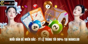 Nuôi Dàn Đề Miền Bắc - Tỷ Lệ Trúng Tới 98% Tại Manclub
