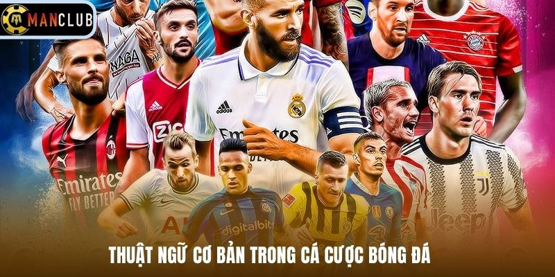 Thuật ngữ cơ bản trong cá cược bóng đá 