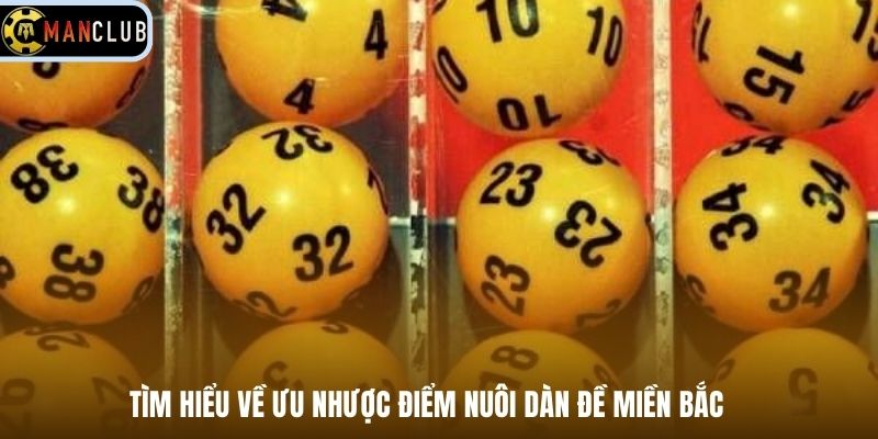 Tìm hiểu về ưu nhược điểm nuôi dàn đề miền Bắc 